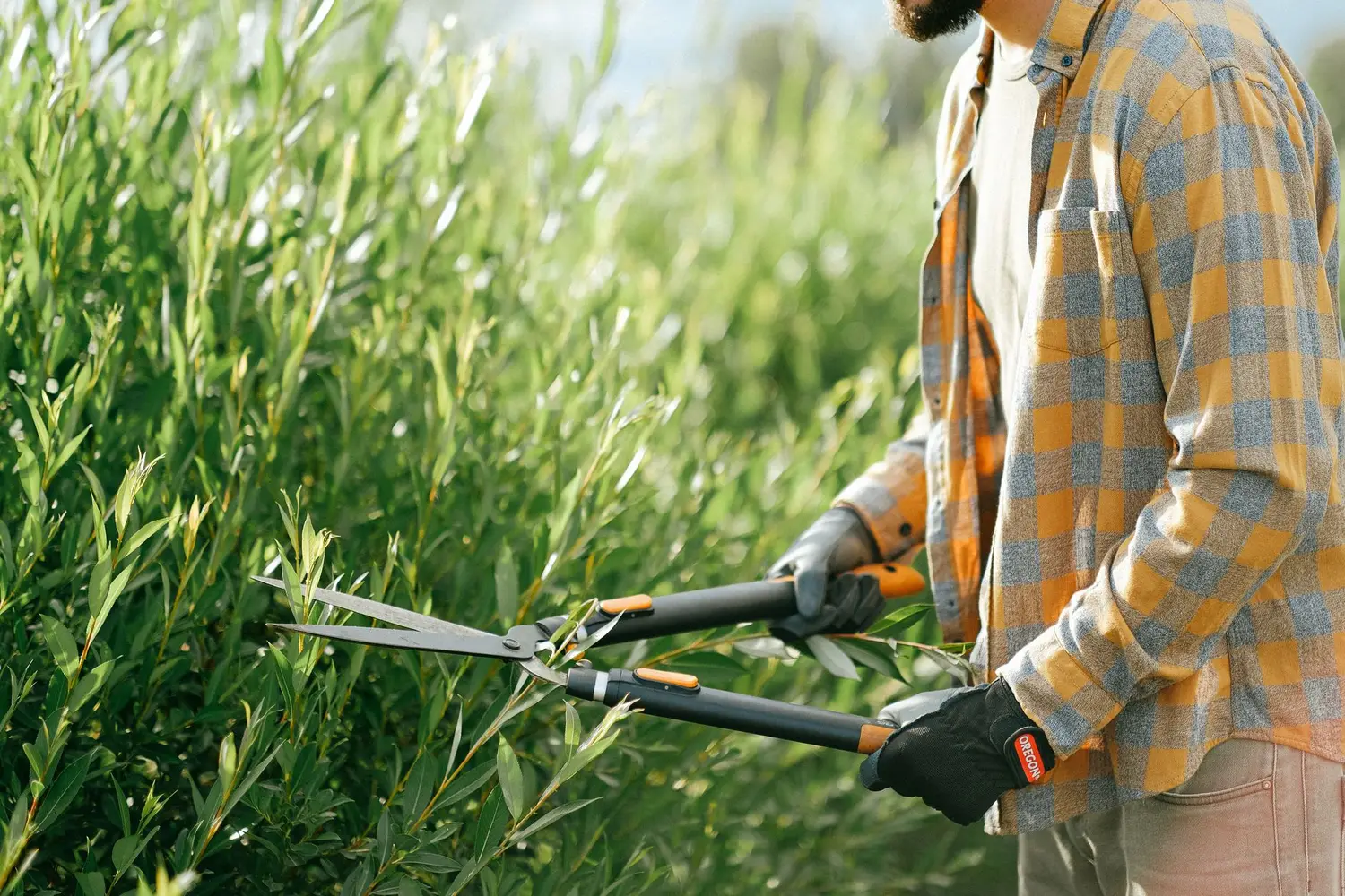 A landscaper trimming a hedge while wearing a work shirt
